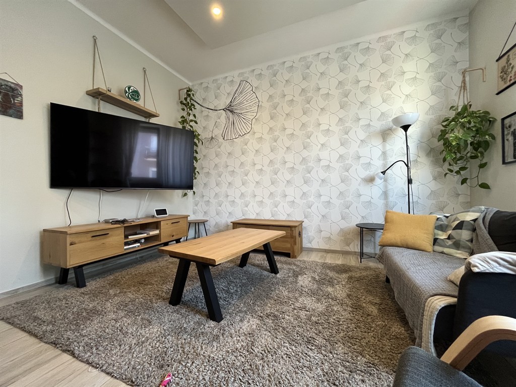 Mondovì (CN), appartamento ristrutturato